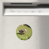 Aimant Angry Goose Back Off Magazine (In Situ (Lave-vaisselle))