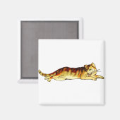 Aimant Animal Chat Mammifère Animaux (Recto/Verso)