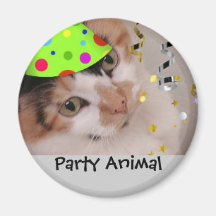 Aimant Animal de fête/chat Calico