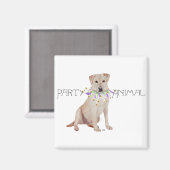 Aimant Animal de fête Labrador jaune (Recto/Verso)