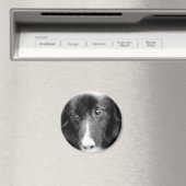 Aimant animal noir d'art de border collie (In Situ (Lave-vaisselle))