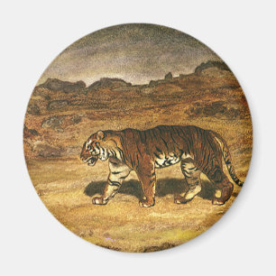 Aimant Animal sauvage vintage, tigre du Bengale parcouran