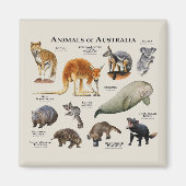 Aimant Animaux d'Australie (Devant)