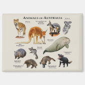 Aimant Animaux d'Australie (Recto)