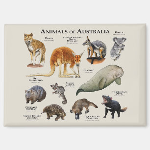 Aimant Animaux d'Australie