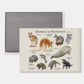 Aimant Animaux d'Australie (Recto/Verso)