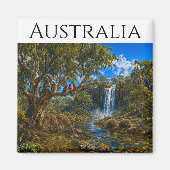 Aimant Animaux d'Australie Echidnés (Devant)