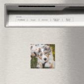 Aimant Animaux de bébés cutest | Australian Shepherd Pupp (In Situ (Lave-vaisselle))