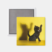 Aimant Animaux de bébés cutest | Black Cat Jouer (Recto/Verso)