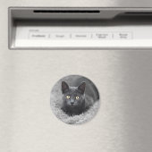 Aimant Animaux de bébés cutest | Chat gris (In Situ (Lave-vaisselle))