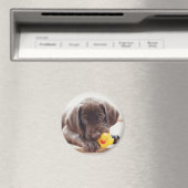 Aimant Animaux de bébés cutest | Chocolat Labrador Puppy (In Situ (Lave-vaisselle))