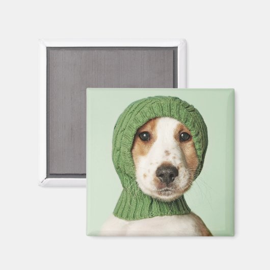 Aimant Animaux de bébés cutest | Cocker Spaniel (Recto/Verso)