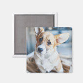 Aimant Animaux de bébés cutest | Corgi Head Tilt (Recto/Verso)