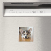 Aimant Animaux de bébés cutest | Corgi Puppy (In Situ (Lave-vaisselle))