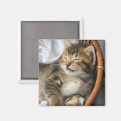 Aimant Animaux de bébés cutest | Cute Tabby Chat Dormir (Recto/Verso)
