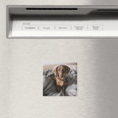 Aimant Animaux de bébés cutest | Dachshund Dachshund Dach (In Situ (Lave-vaisselle))