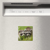 Aimant Animaux de bébés cutest | Deux jeunes ratons (In Situ (Lave-vaisselle))