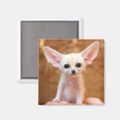 Aimant Animaux de bébés cutest | Fennec Fox (Recto/Verso)