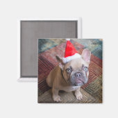 Aimant Animaux de bébés cutest | French Bulldog Christmas (Recto/Verso)