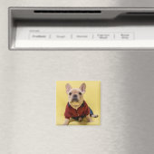 Aimant Animaux de bébés cutest | French Bulldog habillé (In Situ (Lave-vaisselle))