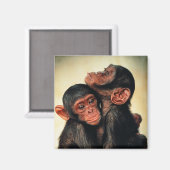 Aimant Animaux de bébés cutest | Hug de chimpanzé (Recto/Verso)