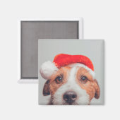 Aimant Animaux de bébés cutest | Jack Russell Chien Père (Recto/Verso)