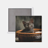 Aimant Animaux de bébés cutest | Kitten dans le panier (Recto/Verso)