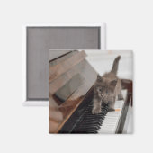 Aimant Animaux de bébés cutest | Kitten sur piano (Recto/Verso)