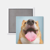 Aimant Animaux de bébés cutest | Langue de Corgi (Recto/Verso)