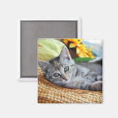 Aimant Animaux de bébés cutest | Lounge Kitten (Recto/Verso)