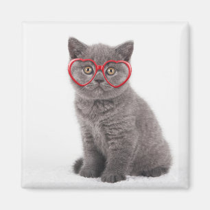 Aimant Animaux de bébés cutest Lunettes cardiaques de c