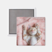 Aimant Animaux de bébés cutest | Minuscule chaton rayé or (Recto/Verso)