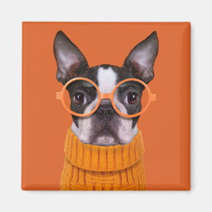 Aimant Animaux de bébés cutest   Orange Boston Terrier