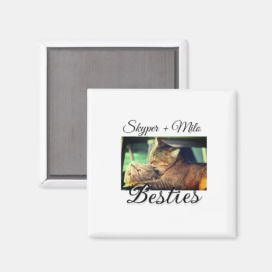 Aimant Animaux de compagnie amis besties ajouter nom anim (Recto/Verso)