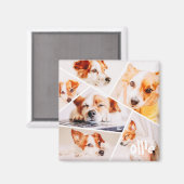 Aimant Animaux de compagnie Moderne Simple Personnalisé 6 (Recto/Verso)