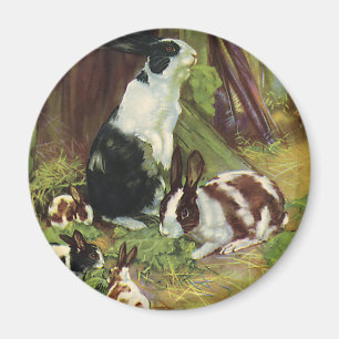 Aimant Animaux de ferme vintages, lapins d'animaux de com