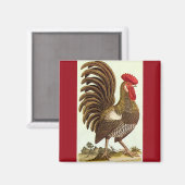 Aimant Animaux de ferme vintages Poulets, Rooster Fière (Recto/Verso)