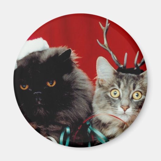 Aimant Animaux de Noël (Devant)