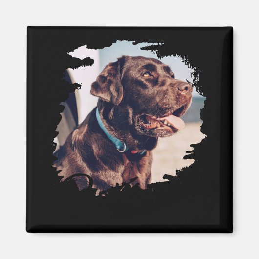Aimant Animaux Domestiques Simple Moderne Cool Tygraphie (Devant)