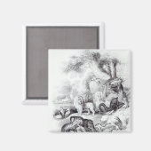 Aimant Animaux sauvages de 'Une histoire de la Terre (Recto/Verso)