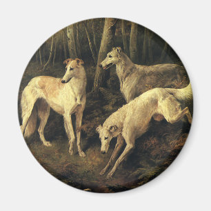 Aimant Animaux vintage, chiens de chasse Lévriers en forê
