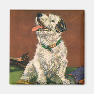 Aimant Animaux vintages, Chaussures à Chewing Chiot Terri