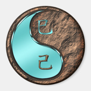 Aimant Année du Serpent de Terre