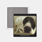 Aimant Années de chien (Recto/Verso)