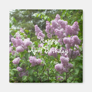 Aimant Anniversaire-Lilas Bush d'avril