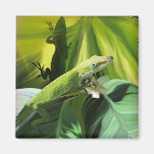 Aimant Anole Lizard (Devant)