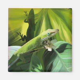 Aimant Anole Lizard