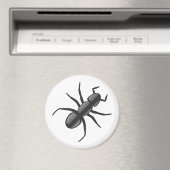 Aimant Ant (In Situ (Lave-vaisselle))