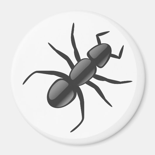 Aimant Ant (Devant)