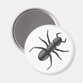 Aimant Ant (Recto/Verso)